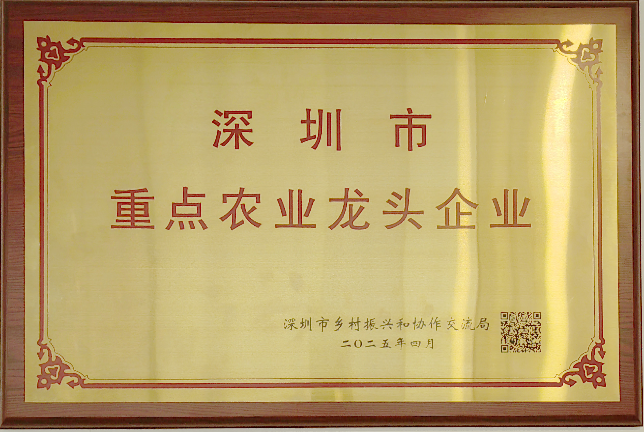 龙头企业荣誉证书